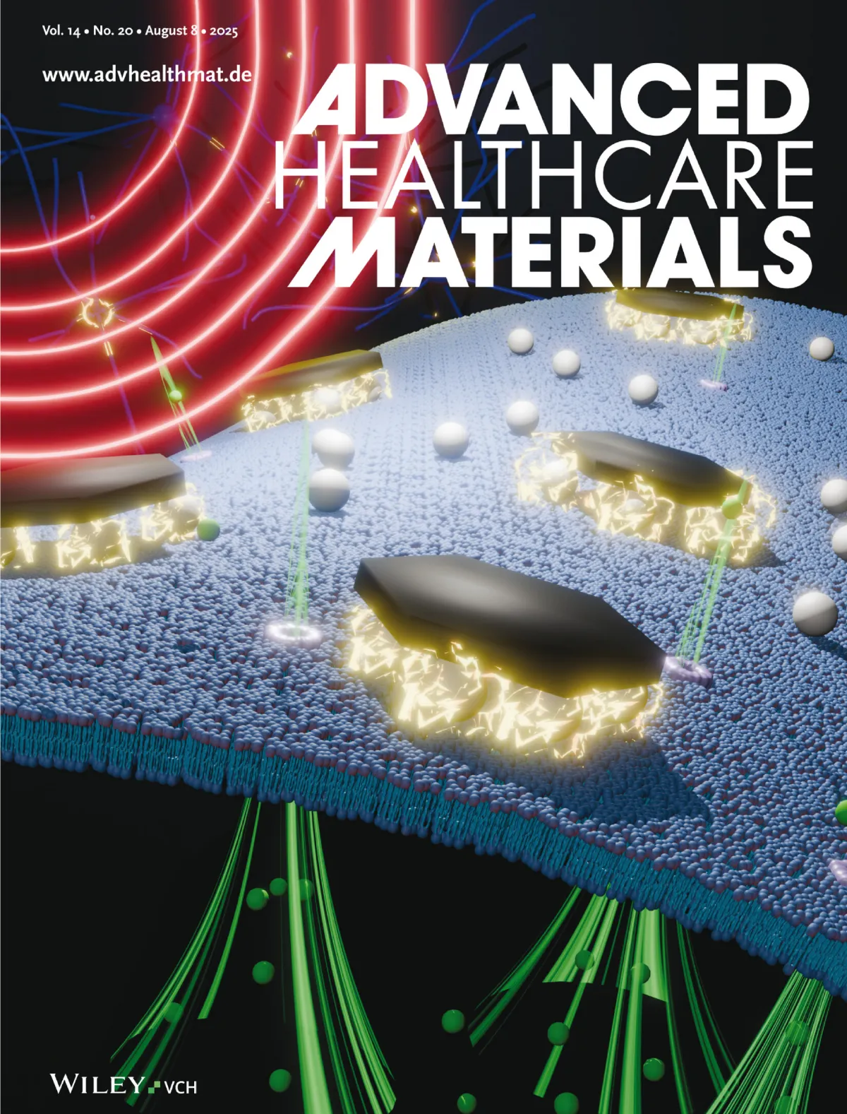 毫秒級無線腦神經調控技術 陽明交大助攻治療
